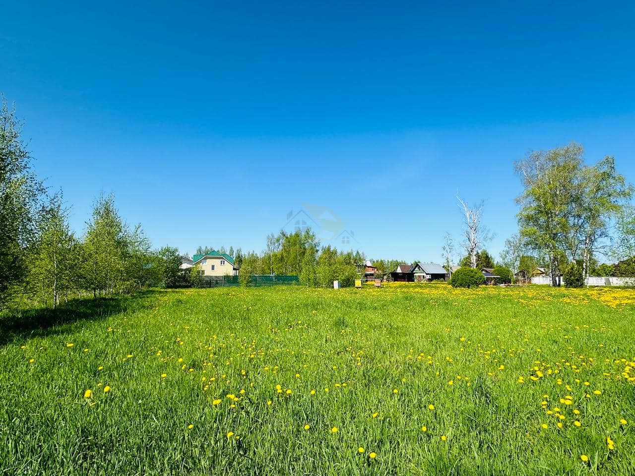 Участок 16,67 соток в д. Власково, ИЖС, рядом водоемы и лес, Дмитровский округ / 3600000 руб. / КварталСити